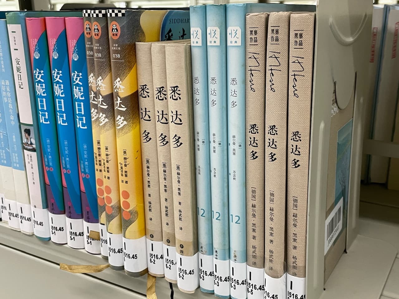 学校图书馆有四个译本的悉达多，唯独没有姜乙翻译的版本。